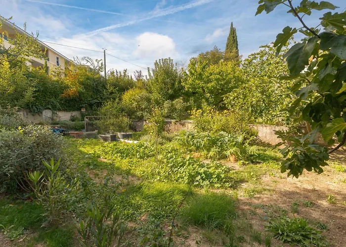 Independant Avec Jardin 公寓 *